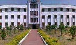 distance education punjabi university patiala